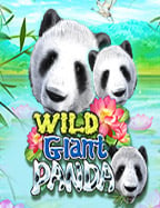 สูตร บา คา ร่า เว็บ ufa191 ที่คุณไม่ควรพลาด